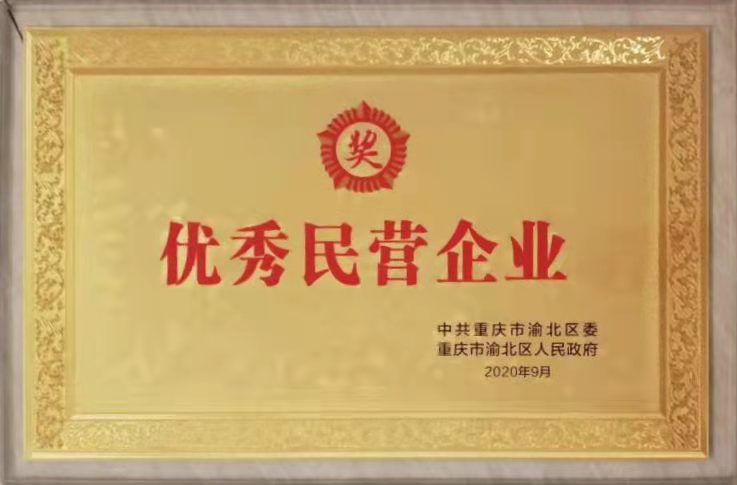 优秀民营企业 (2).jpg
